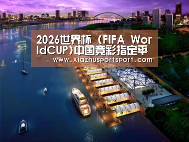 案例展示八(图1)