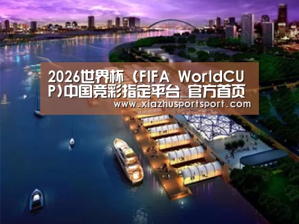 案例展示八