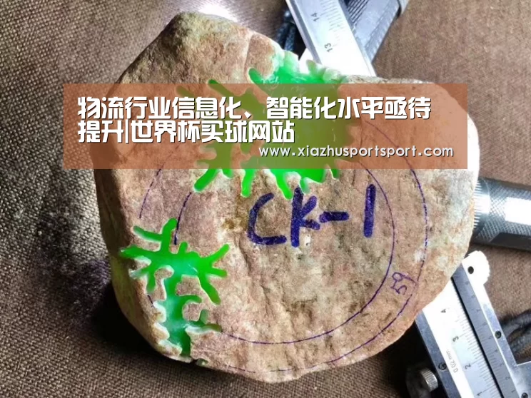 世界杯买球官网