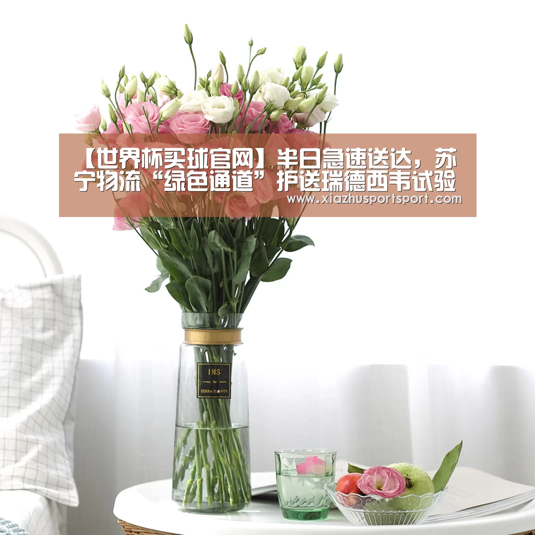 世界杯买球官网