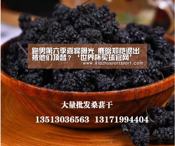 世界杯买球网站