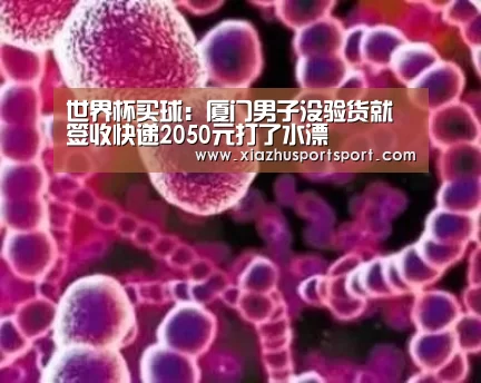 世界杯买球