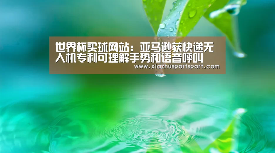 世界杯买球网站