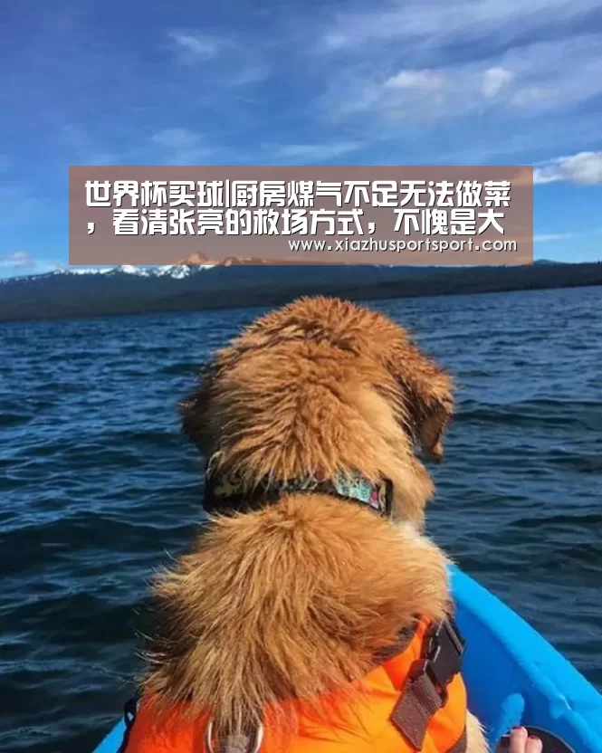 世界杯买球网站