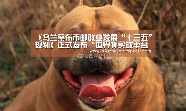 世界杯买球平台